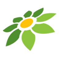 MAIN303